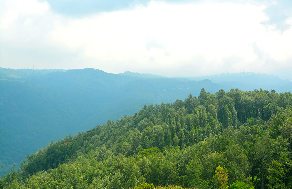 Yercaud