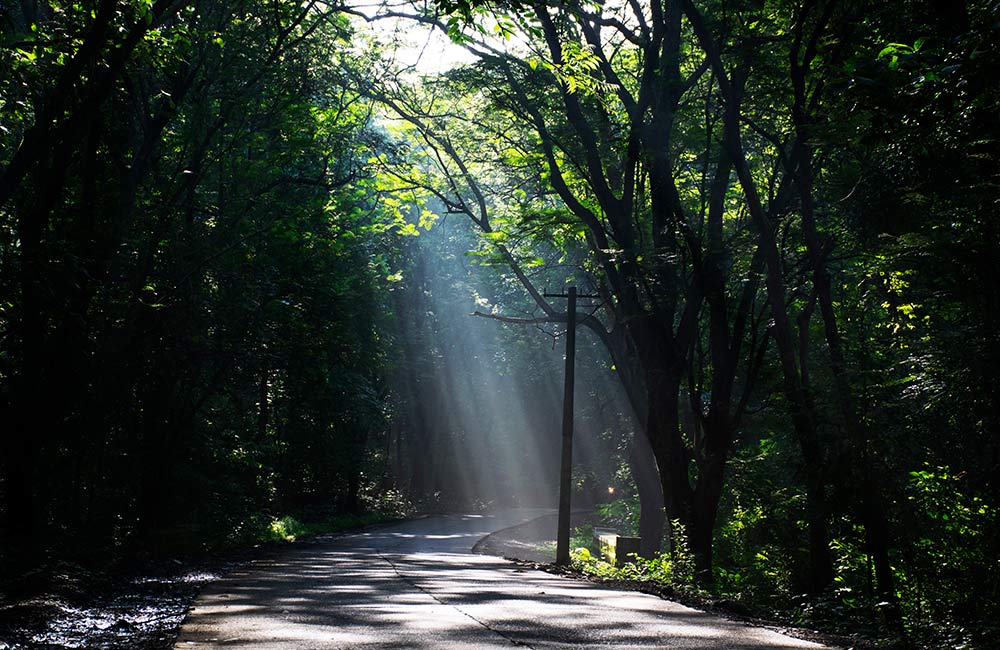 Sanjay Gandhi National Park | Among The Best Places to Visit in Mumbai with Family