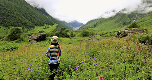 6 Best Hill Stations near Indore in 2024 with Distance