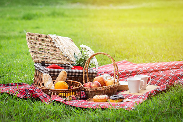 Celebrate Life Outdoors at These 20 Picnic Spots in and around Bangalore