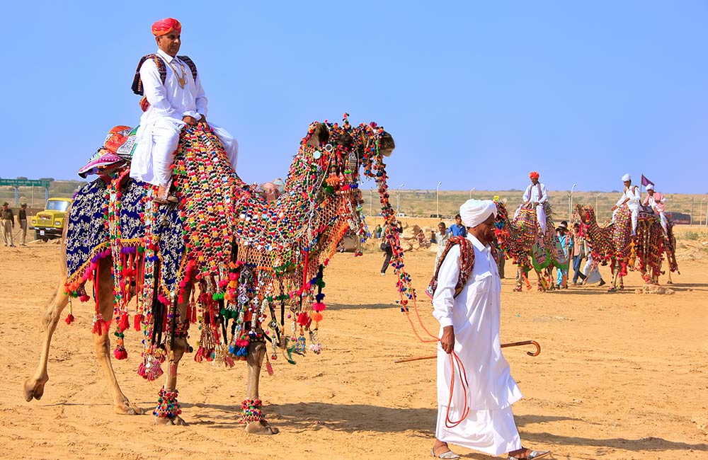 Tourists on Vibrantly Decorated Camels | Long Weekend 2019