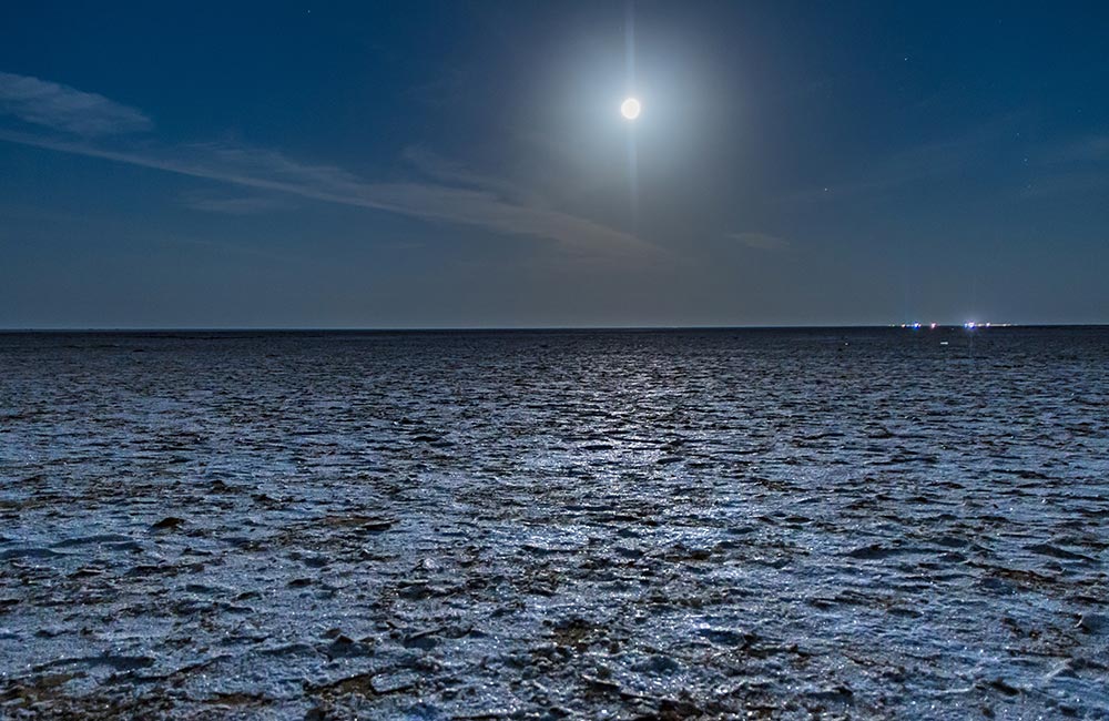 White Salt Marshes on a Full-moon Night | Long Weekend 2019