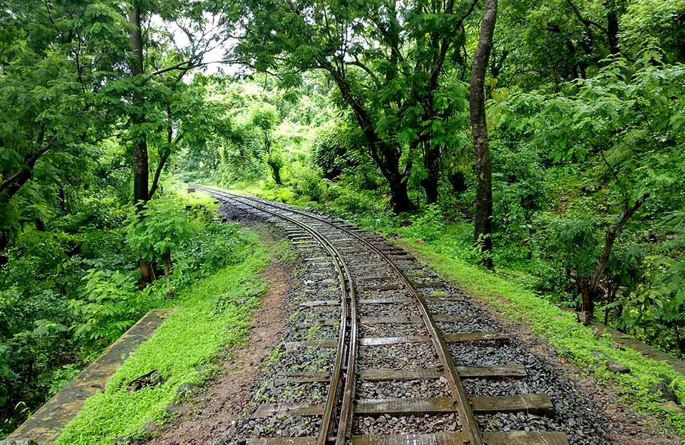 Sanjay Gandhi National Park | #3 of 10 Best Things to do in Mumbai for Kids