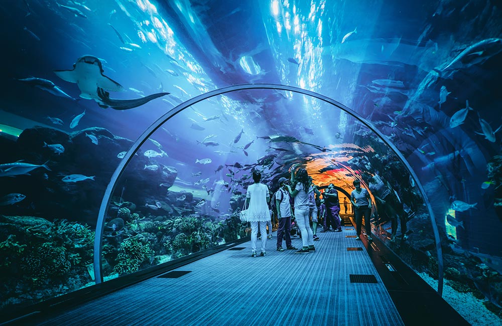 Taraporewala Aquarium | #7 of 10 Best Things to do in Mumbai for Kids