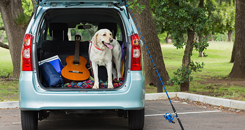 11 Best Places to Explore On a One-Day Trip from Kolkata