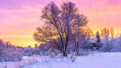 Top Winter Destinations in India to Enjoy the Season at its Best