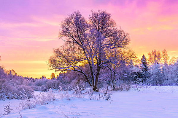banner-image