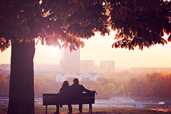 banner-image