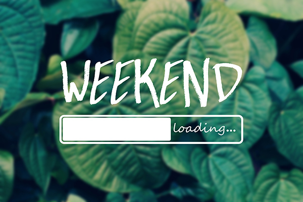 banner-image