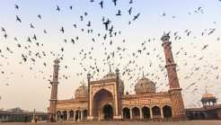 6 Things to Do in Old Delhi that you simply cannot Miss out on