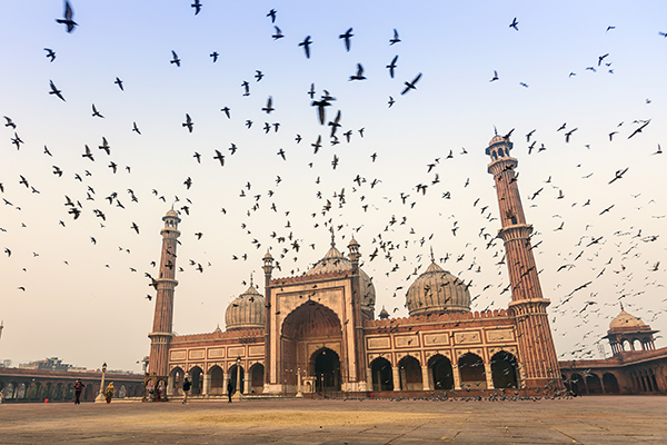 6 Things to Do in Old Delhi that you simply cannot Miss out on