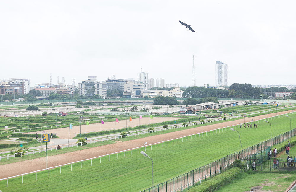 Bangalore Turf Club | #13 of 15 Places to Visit in Bangalore with Friends