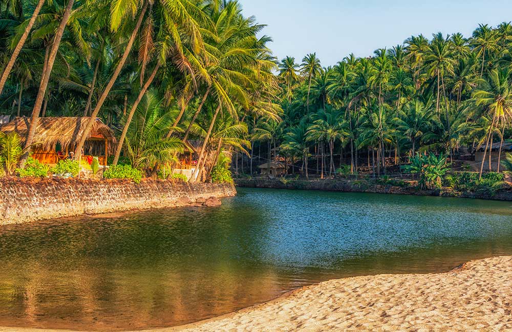 #1 of 10 Things To Do In South Goa #1 of 10 Things To Do In South Goa