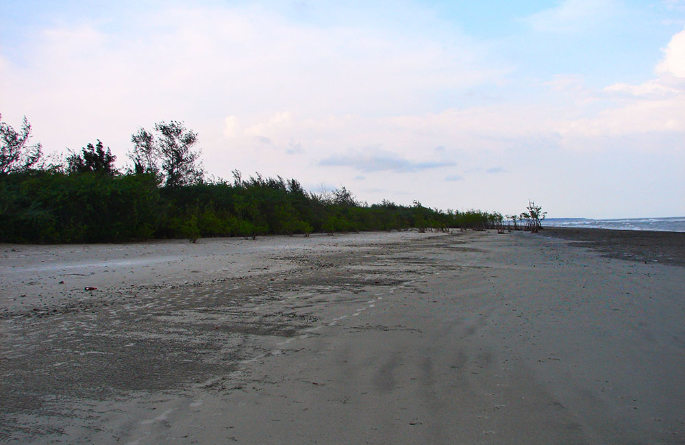 Henry Island | #8 of 11 Best One Day Trip from Kolkata