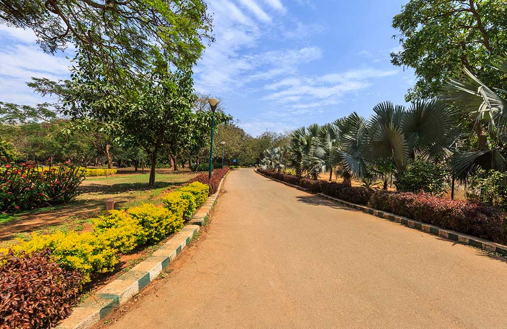 Lal Bagh | #1 of 15 Places to Visit in Bangalore with Friends