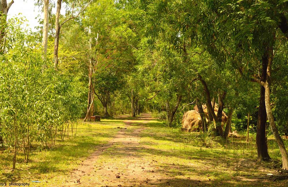 backpacking trip from kolkata