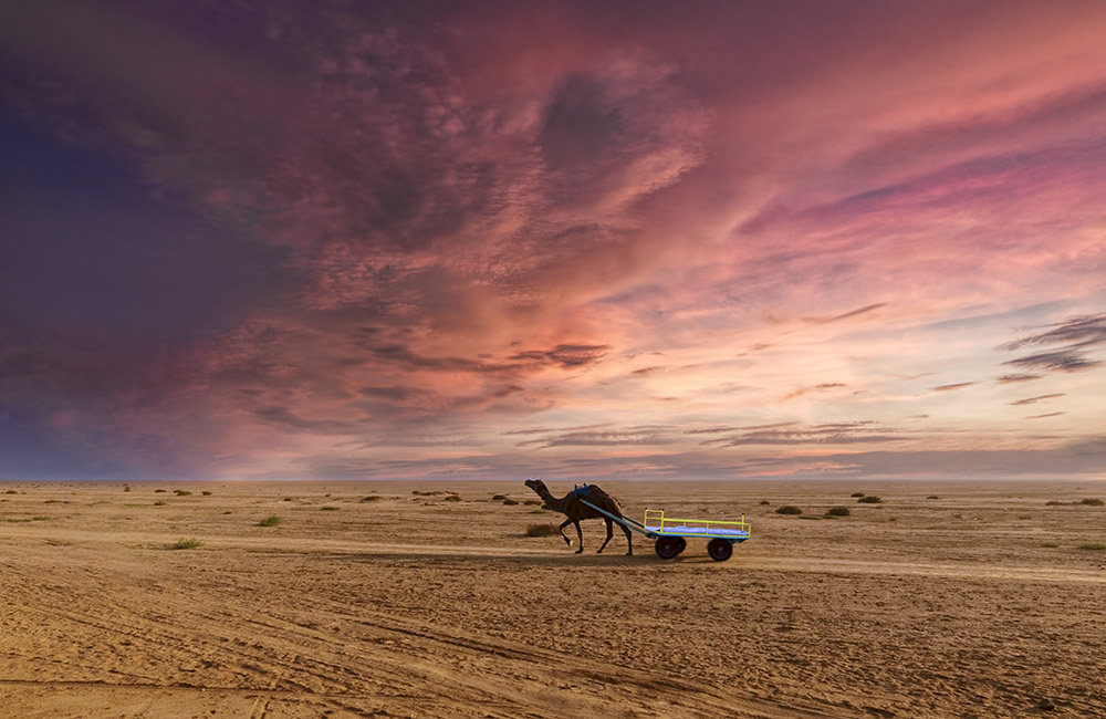 Rann of Kutch in Gujarat