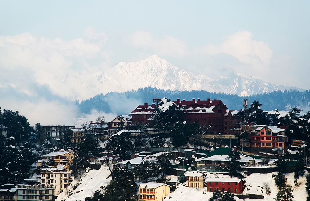 Shimla