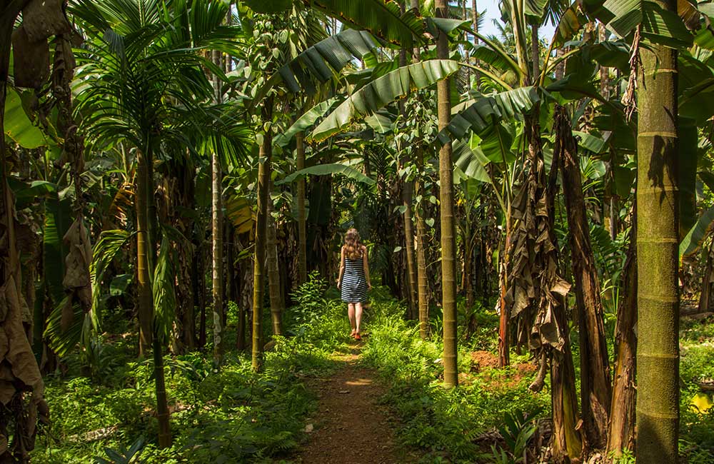 #7 of 10 Things To Do In South Goa #7 of 10 Things To Do In South Goa