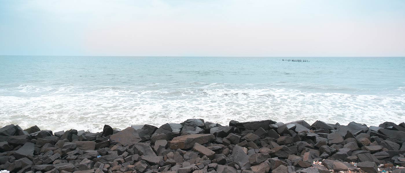 banner-image