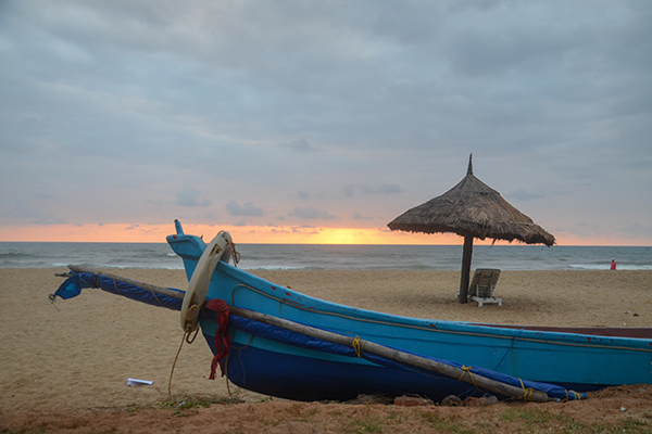 banner-image