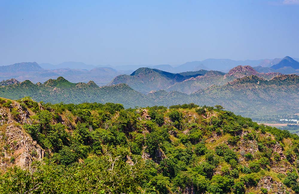 Aravalli Biodiversity Park, Gurgaon