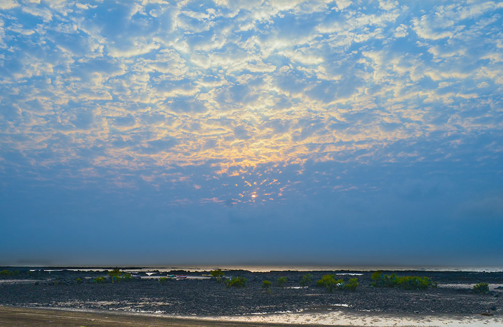 Manori | Mumbai