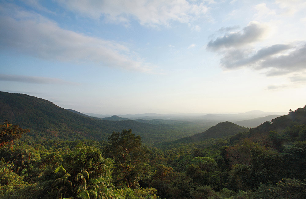 Mollem National Park, South Goa