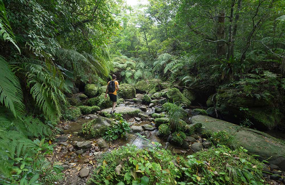 Netravali Wildlife Sanctuary, South Goa