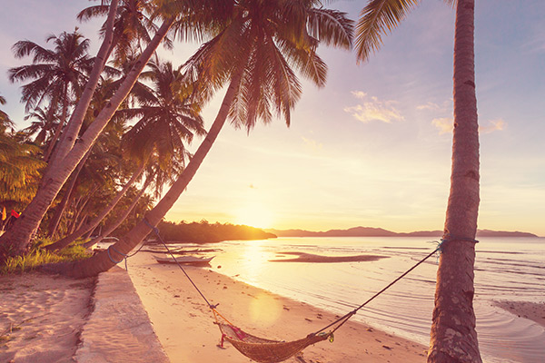 banner-image