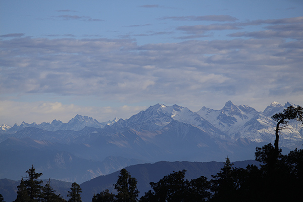 banner-image