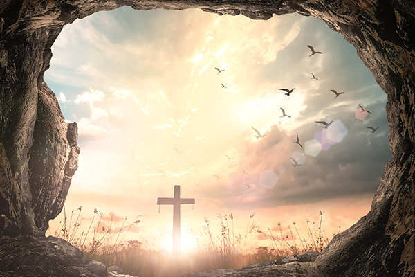 banner-image
