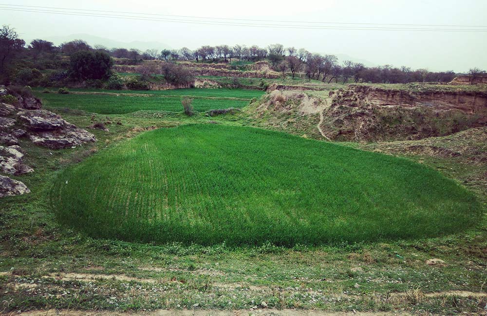 Haripur, Kangra