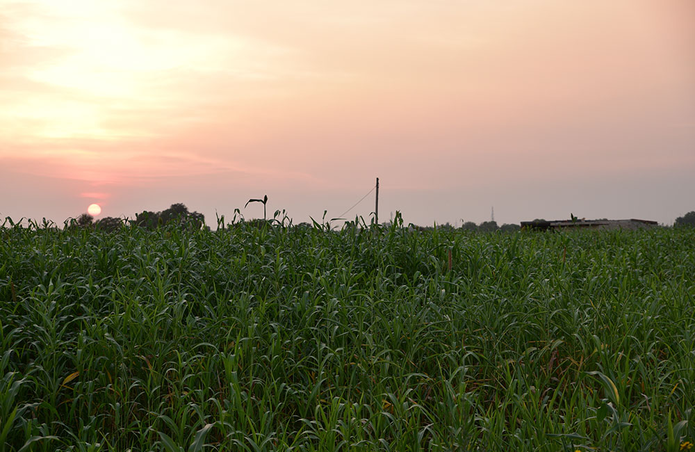 Manesar, Gurgaon