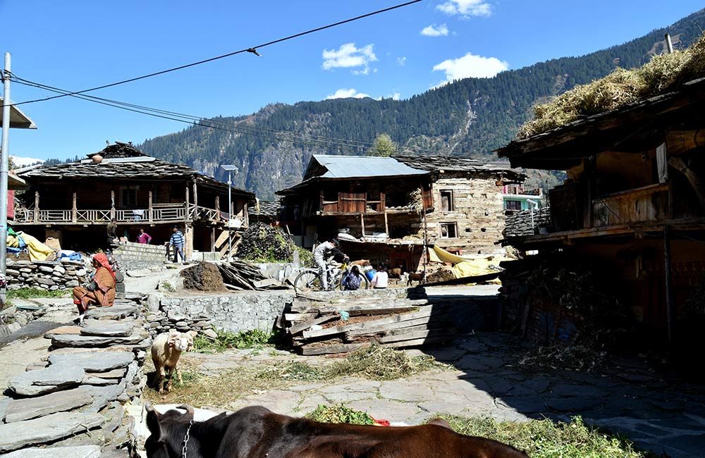 Old Manali, Manali