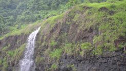 List of Beautiful Waterfalls in India (2024): ✔Location, City