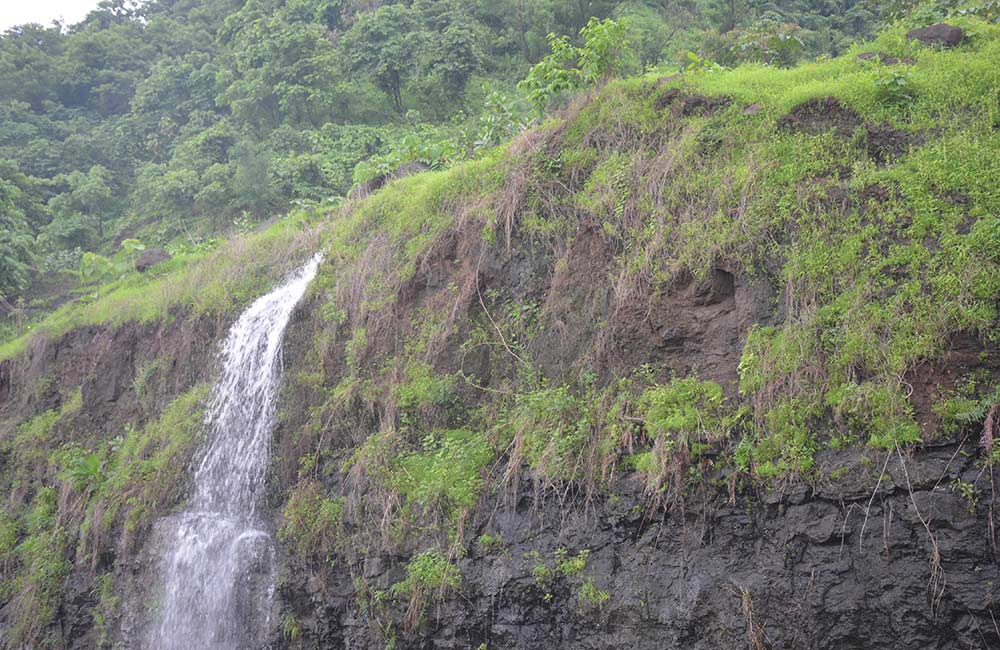 Pandavkada Falls, Mumbai