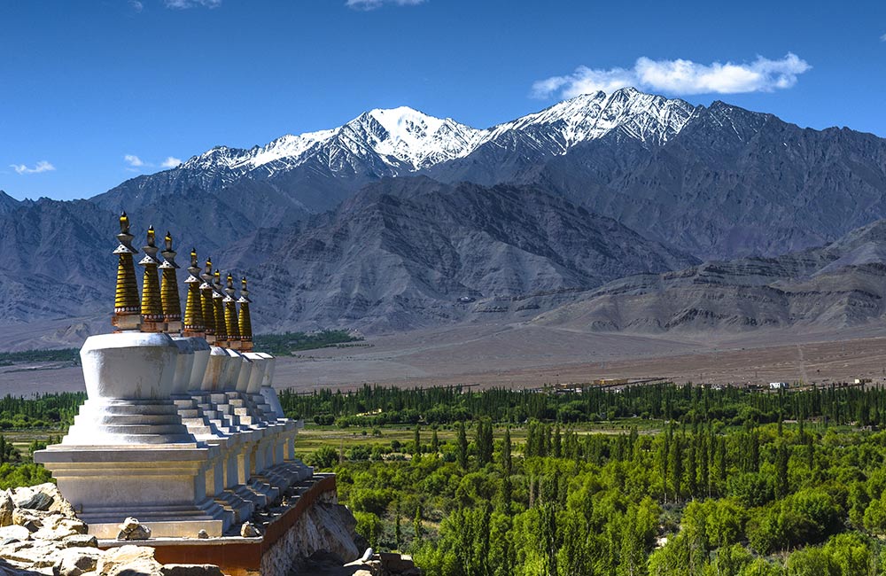 The Manali Gompa Manali