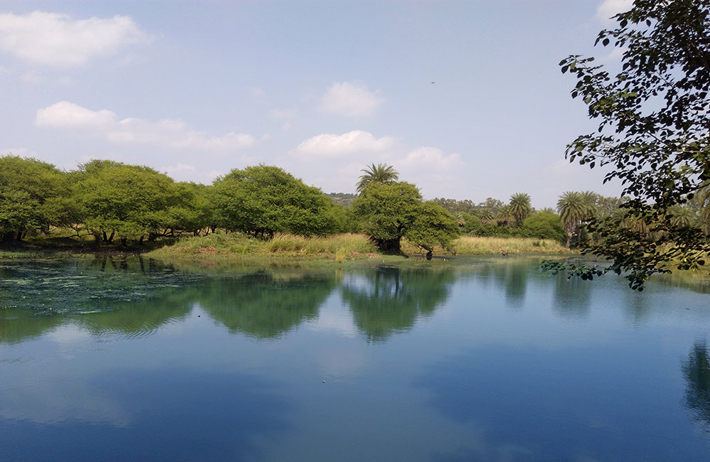 Van Vihar National Park