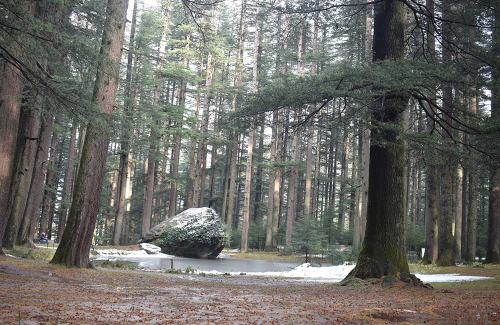 Van Vihar, Manali