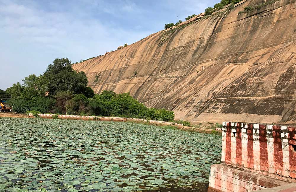 Anaimalai Hills