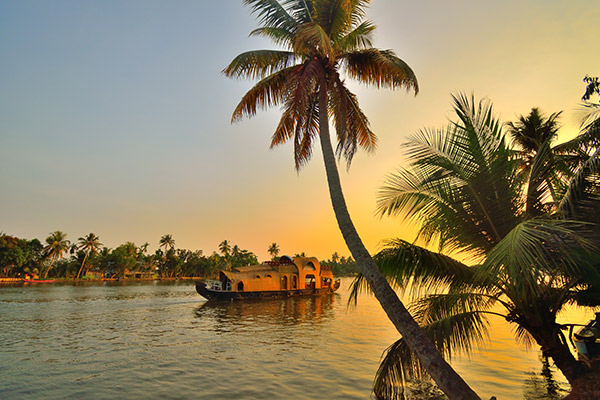 banner-image