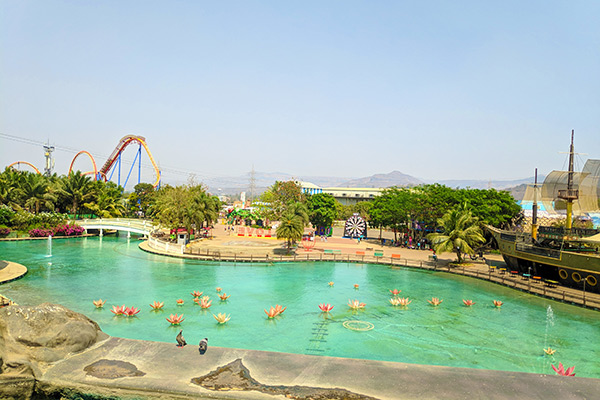 banner-image