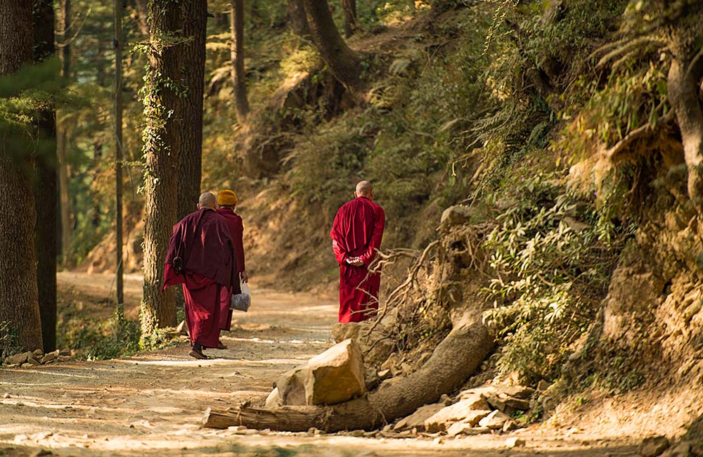 Dharamsala-McLeod Ganj