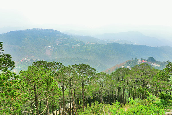 banner-image