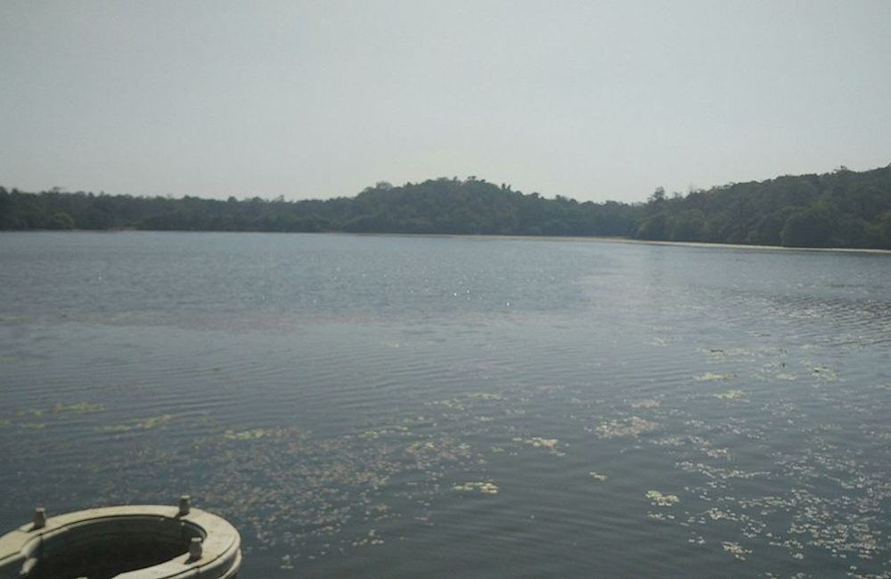 Honnamana Kere Lake, Coorg