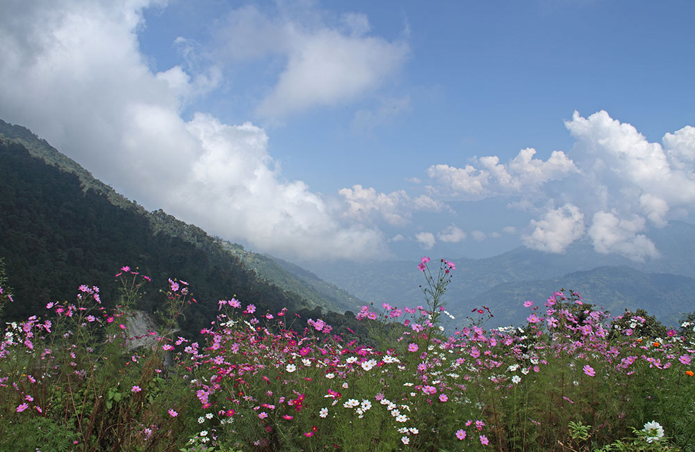 Kalimpong | 14 Road Trips to from Kolkata