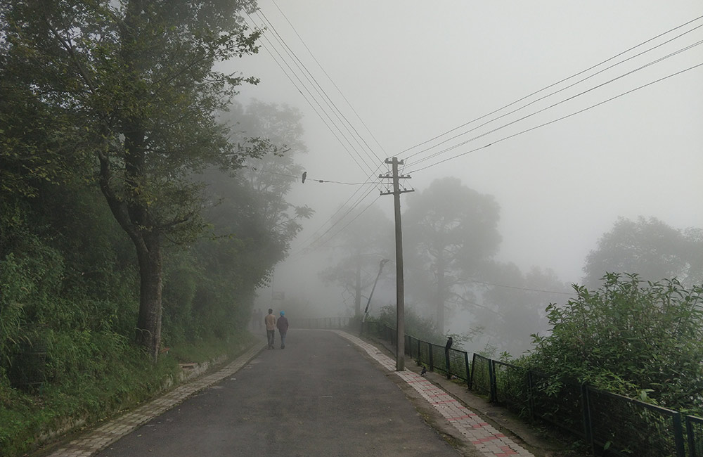 Kasauli