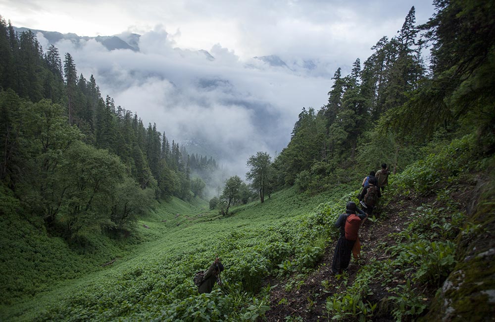 Parvati Valley, Himachal Pradesh