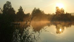 Lakes in New Delhi